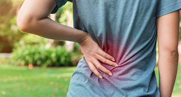 Chiropractor for Lower Back Pain in Flat Rock, MI